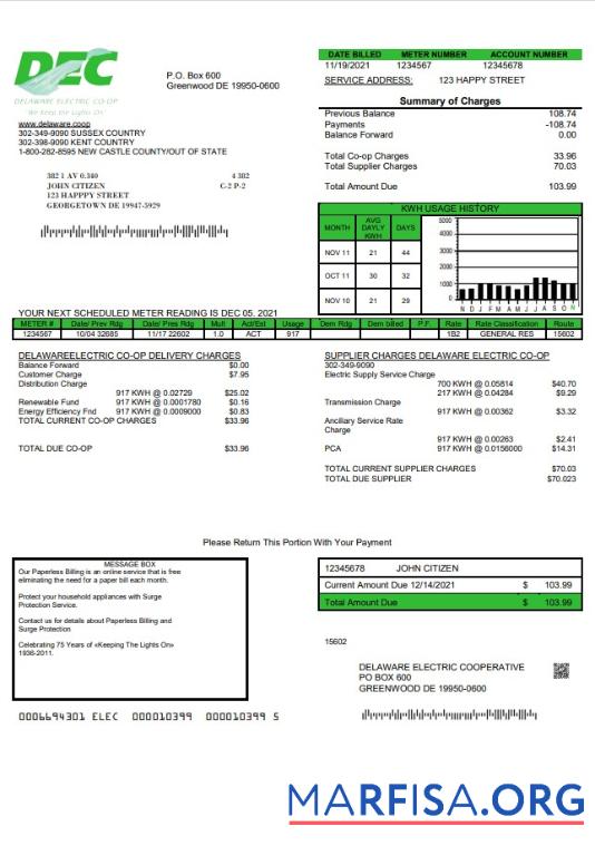 Realistic USA Delaware Electric Co op utility bill template in Word and PDF format